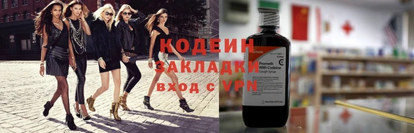 индика Сясьстрой