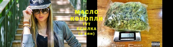 индика Сясьстрой