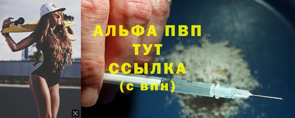 индика Сясьстрой