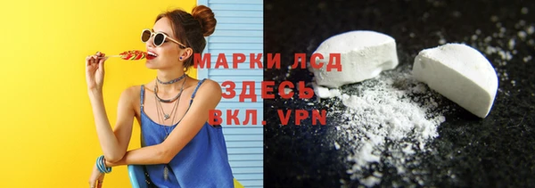 индика Сясьстрой