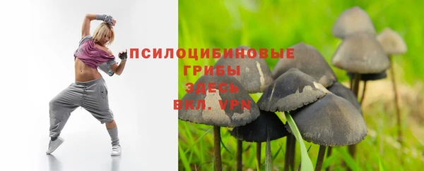 индика Сясьстрой