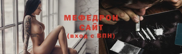 индика Сясьстрой