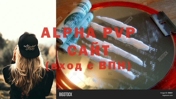 индика Сясьстрой