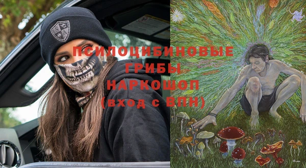 индика Сясьстрой